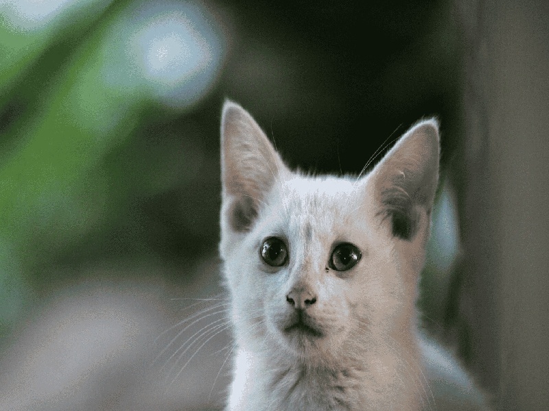 海南博鳌慈铭费用高吗（有技术试管吗）